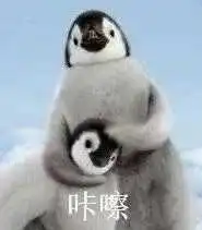 Watampone ninja panda jackpots rtp 